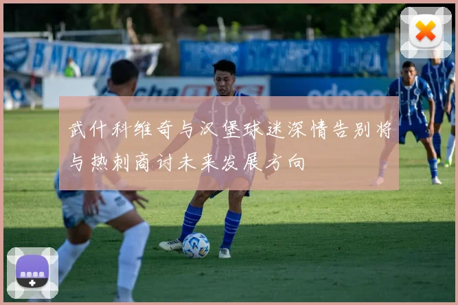 武什科维奇与汉堡球迷深情告别将与热刺商讨未来发展方向