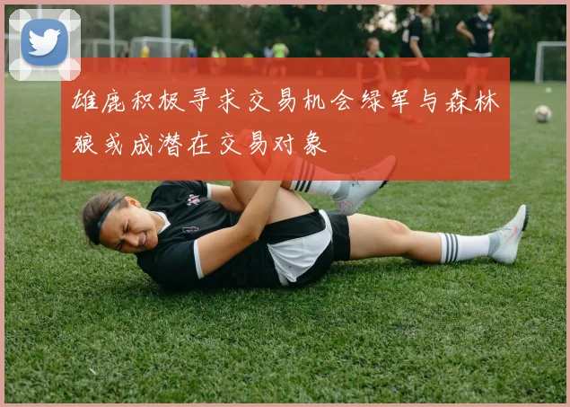 雄鹿积极寻求交易机会绿军与森林狼或成潜在交易对象